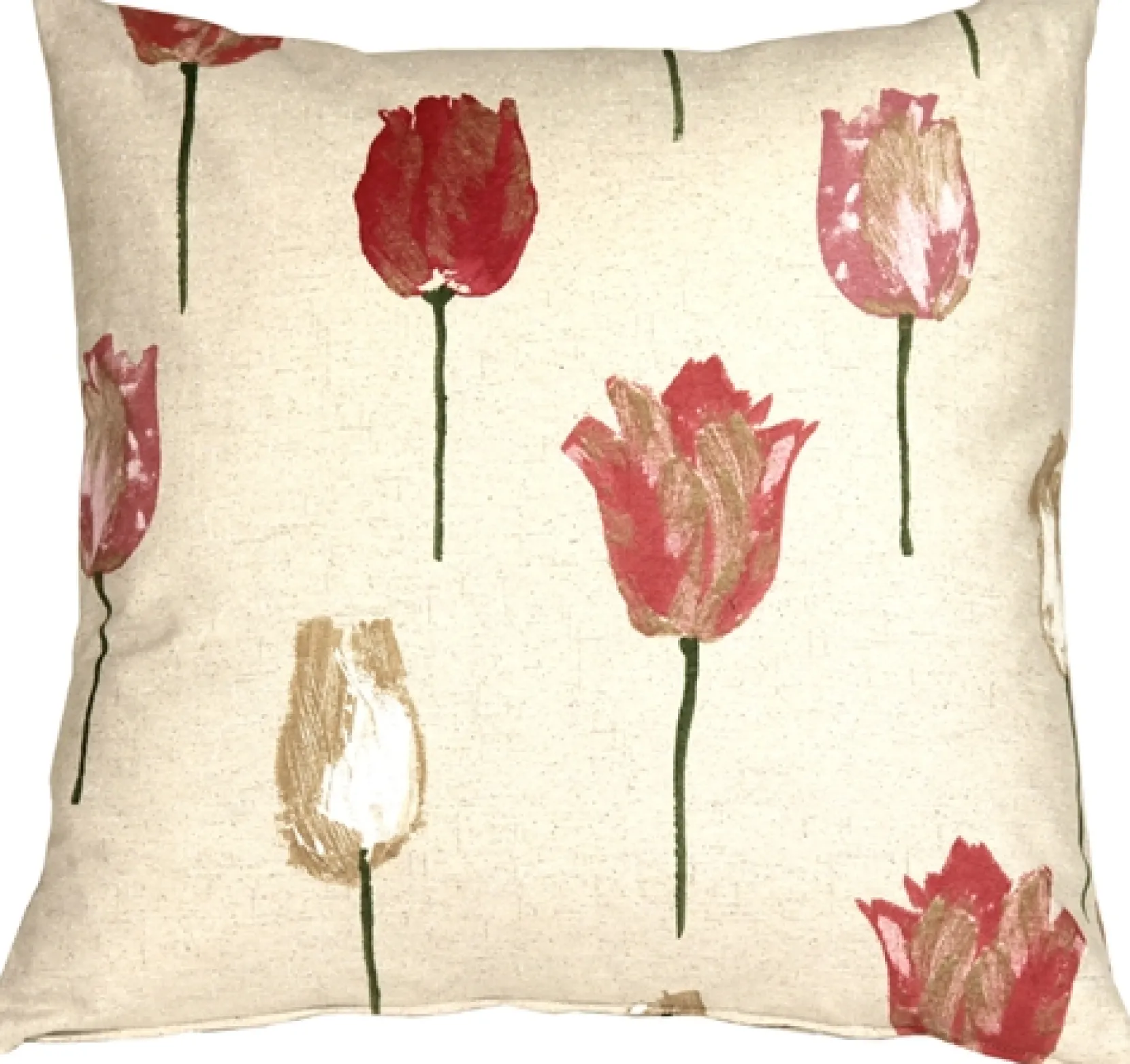 Albany Tulips 22x22 Throw Pillow