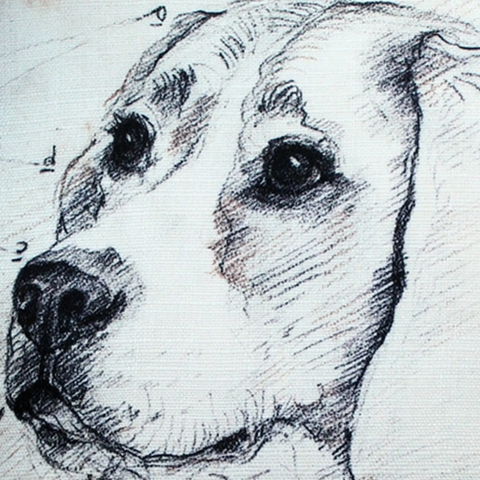Beagle 17x17 Dog Pillow