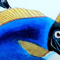 Blue Surgeonfish Fish Pillow 12x19