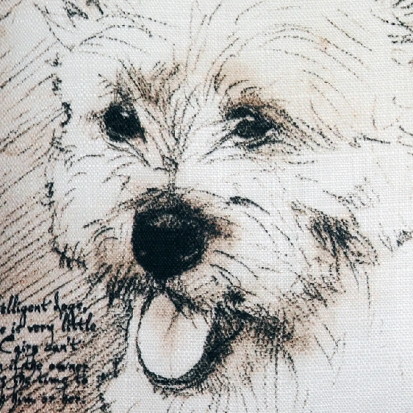Cairn Terrier 17x17 Dog Pillow