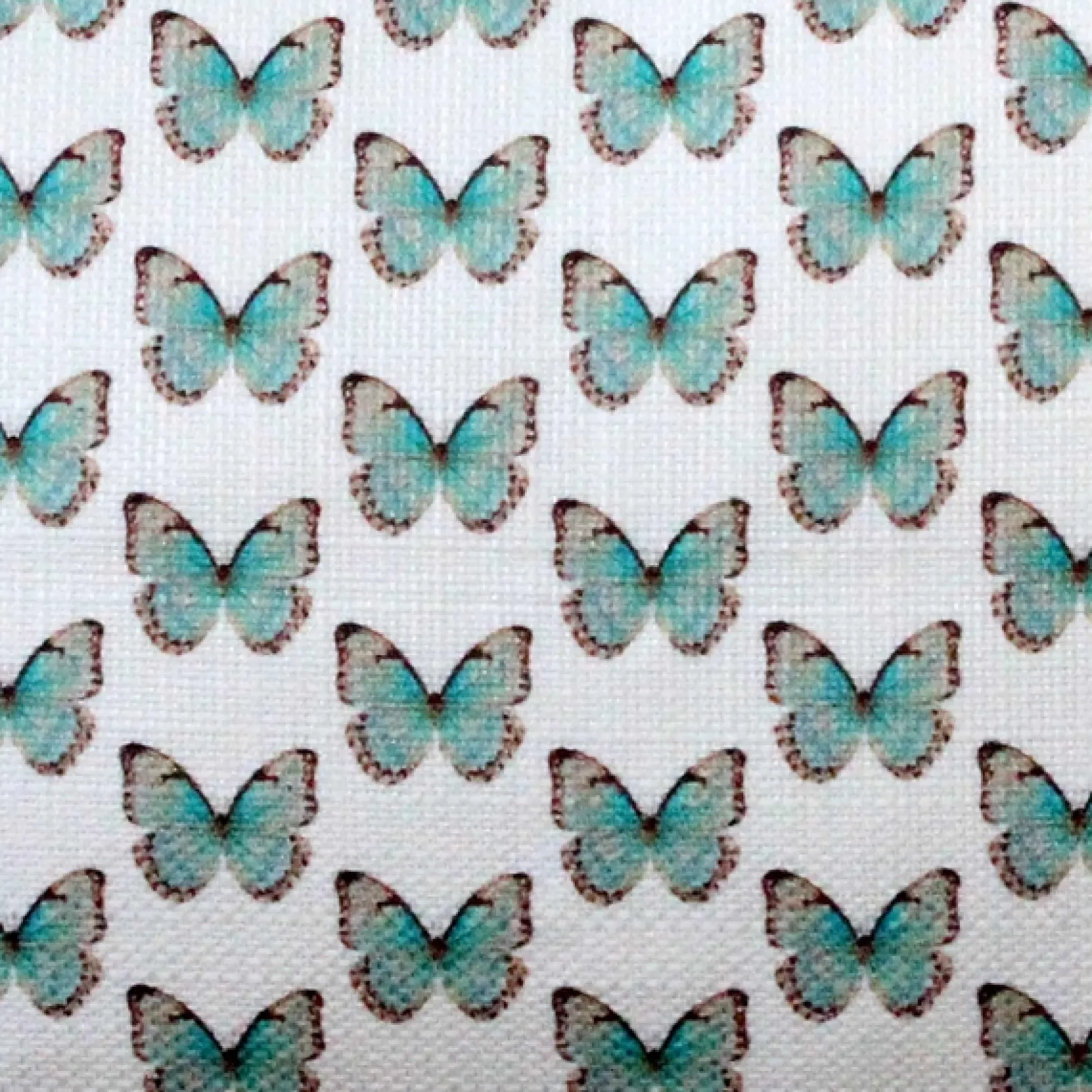 Costa Rica Robin's Egg Butterfly Tiny Scale Print Throw Pillow12x20