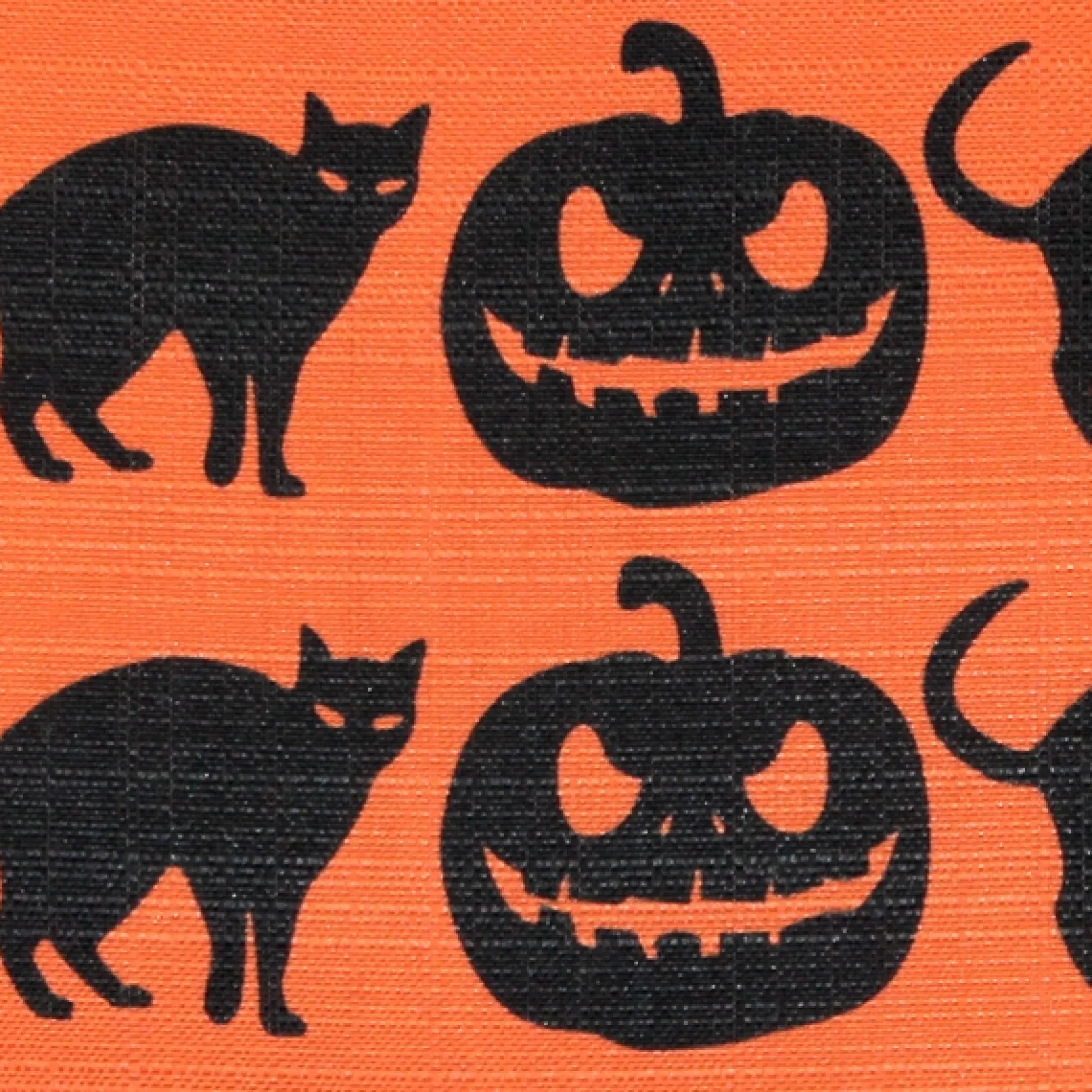 Halloween Decor Throw Pillow 17x17
