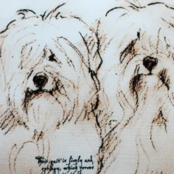 Havanese Duo Dog Pillow 17x17