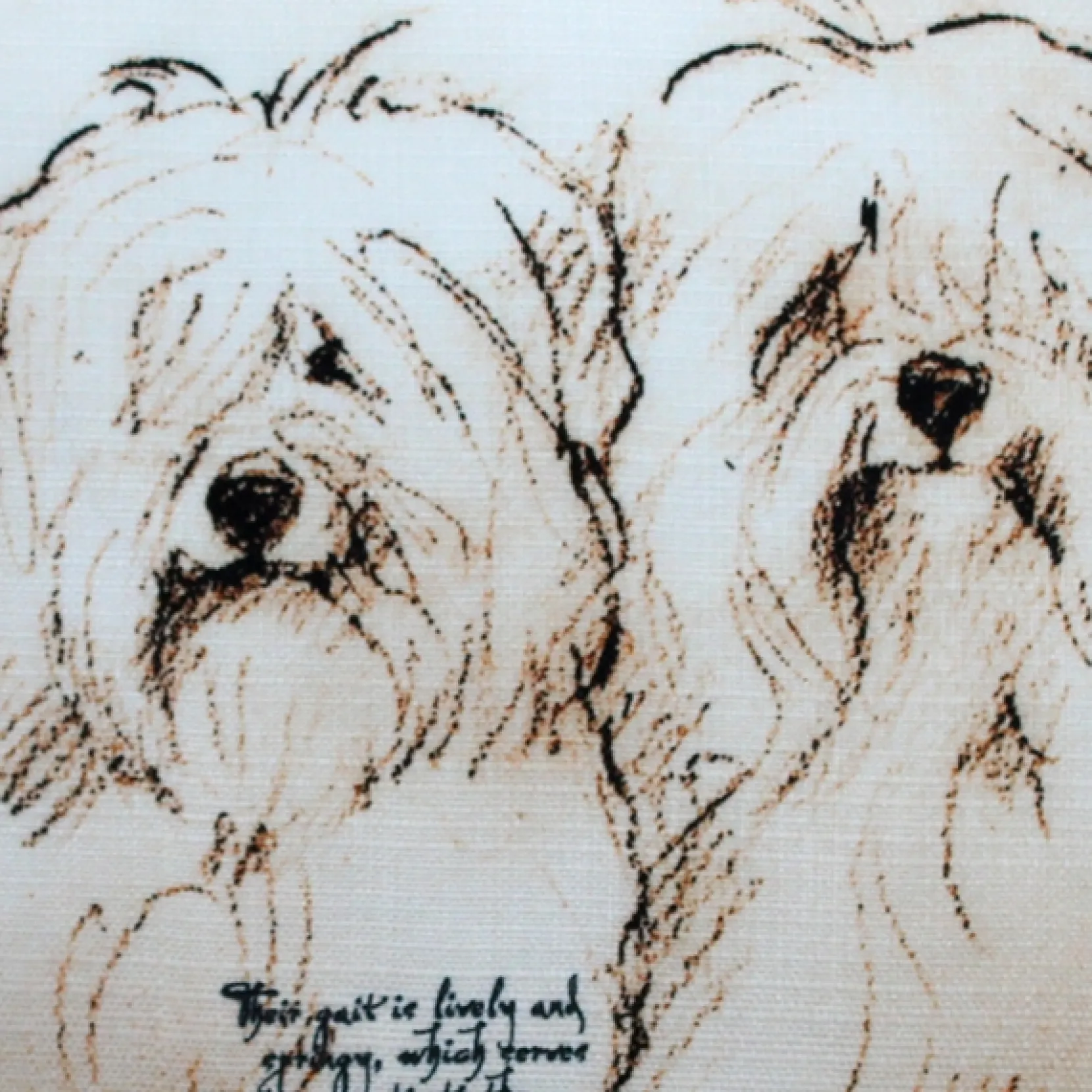 Havanese Duo Dog Pillow 17x17