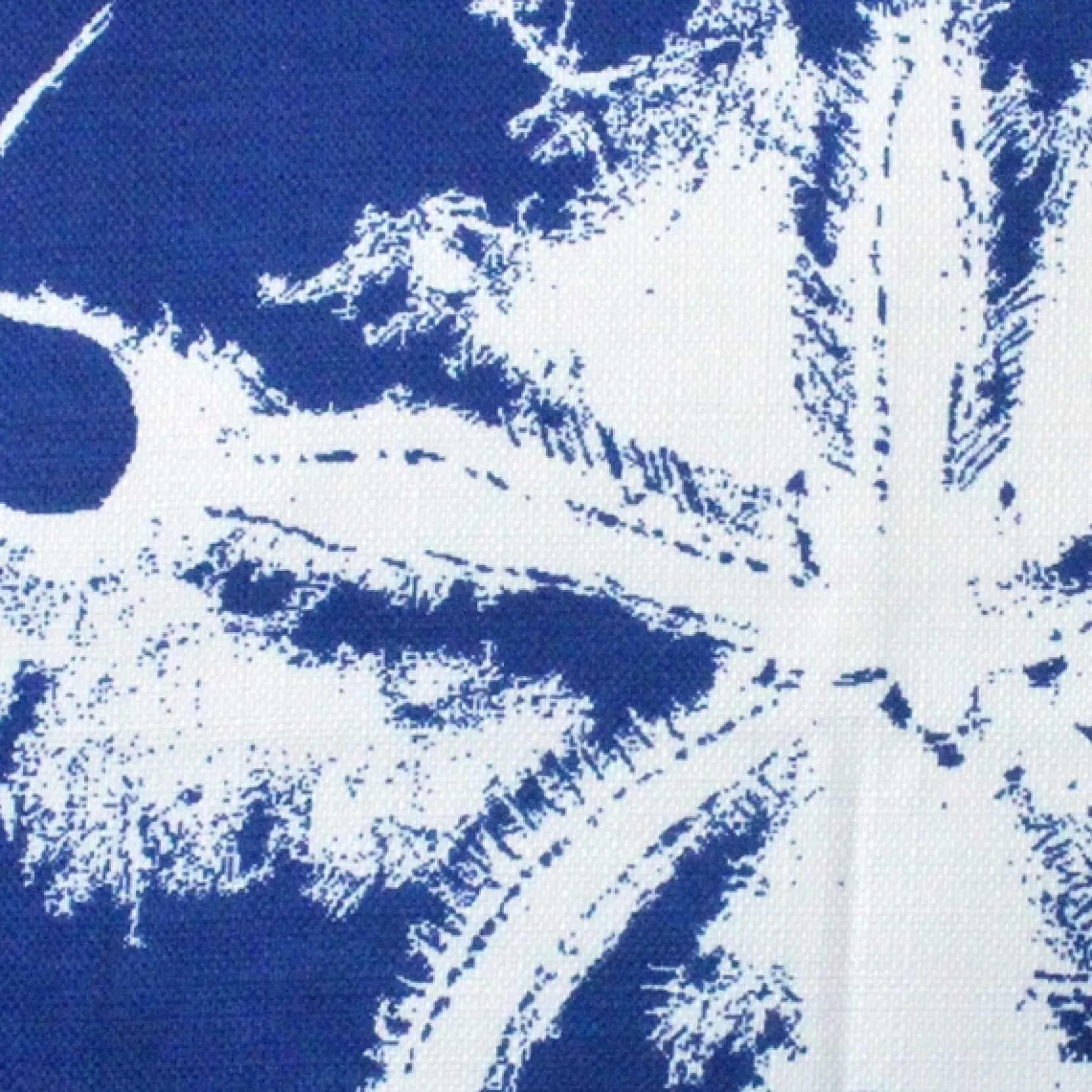 Hilton Head Sand Dollar Solitaire Throw Pillow 20x20