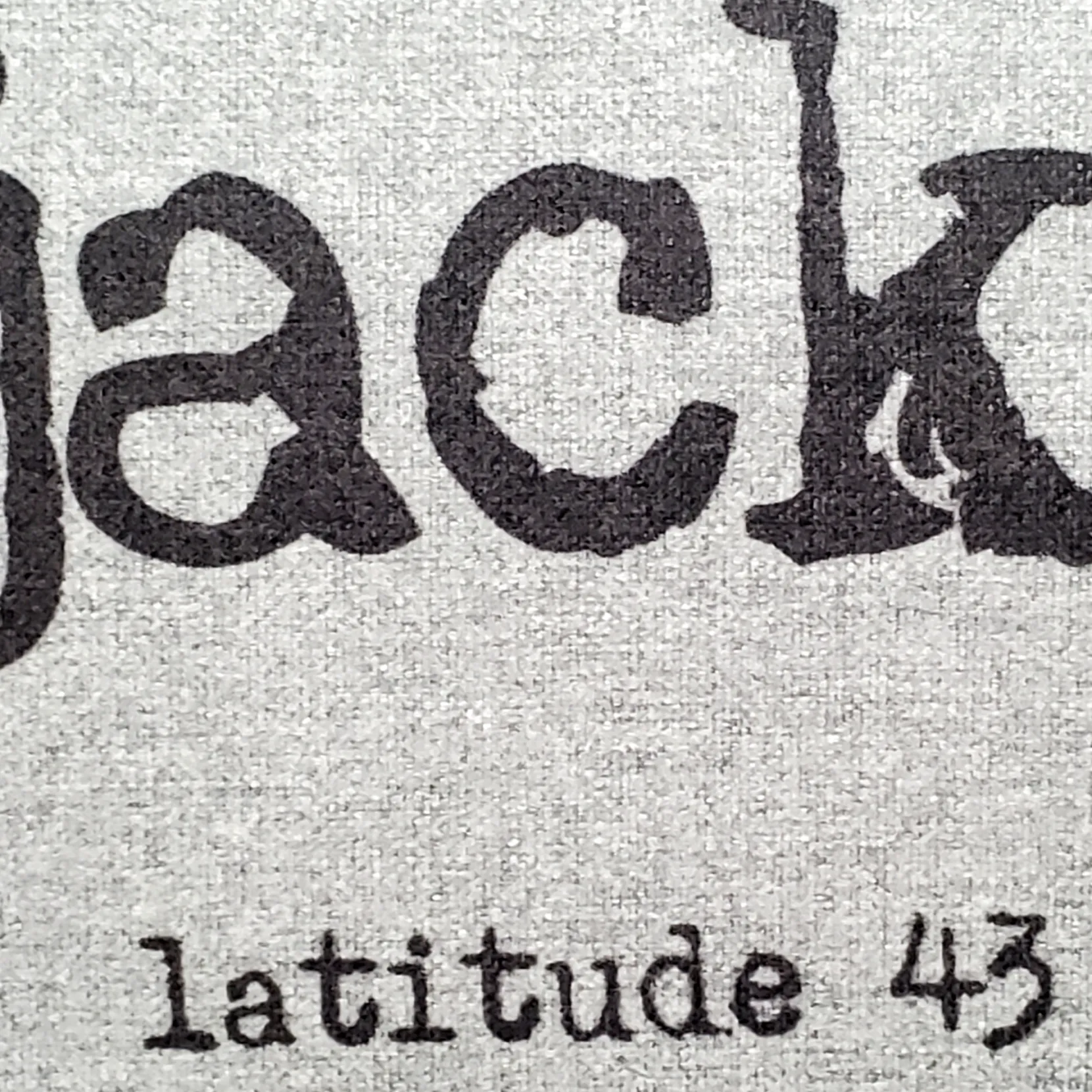 Jackson Hole Gray Felt Coordinates Pillow 12x19