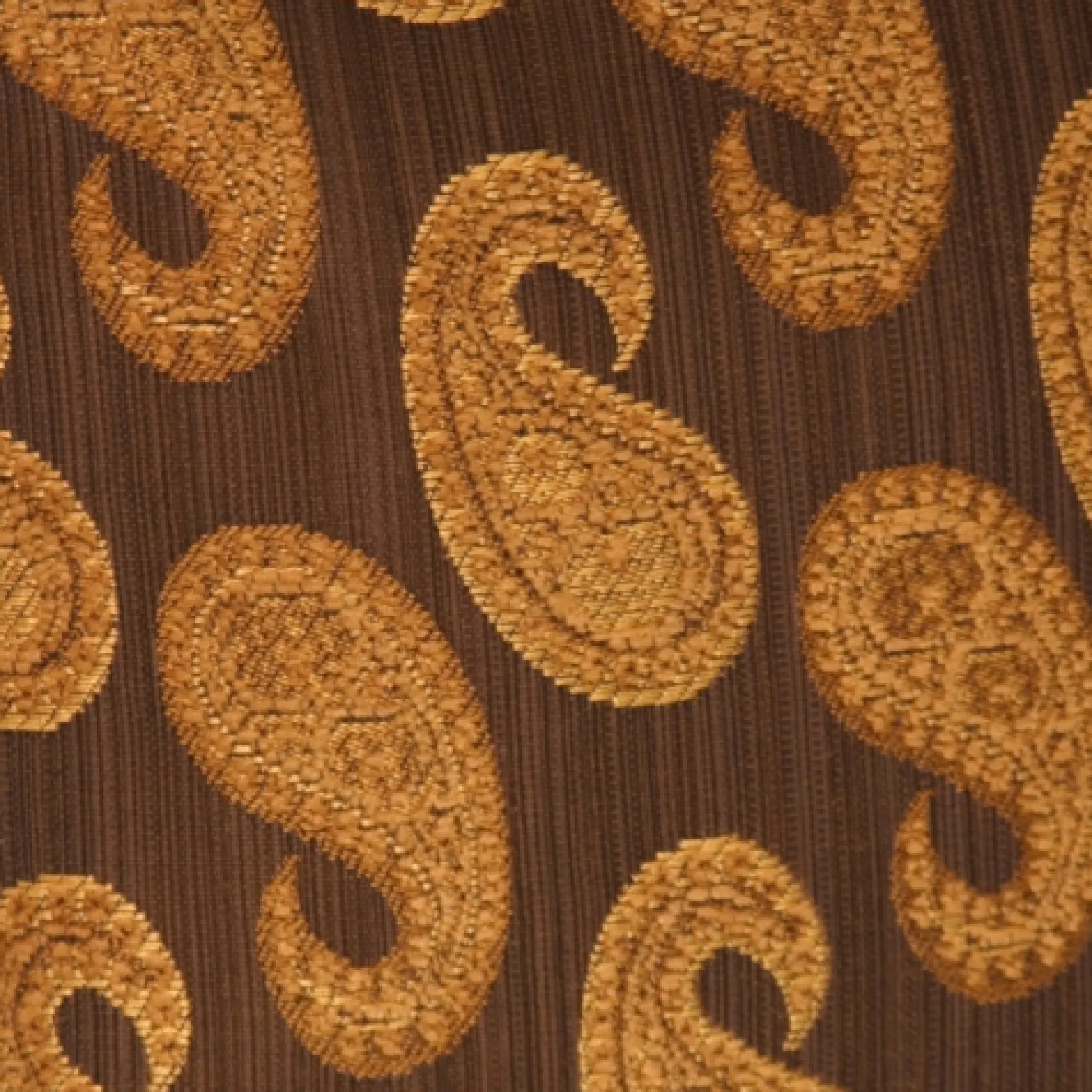Paisley Pillow