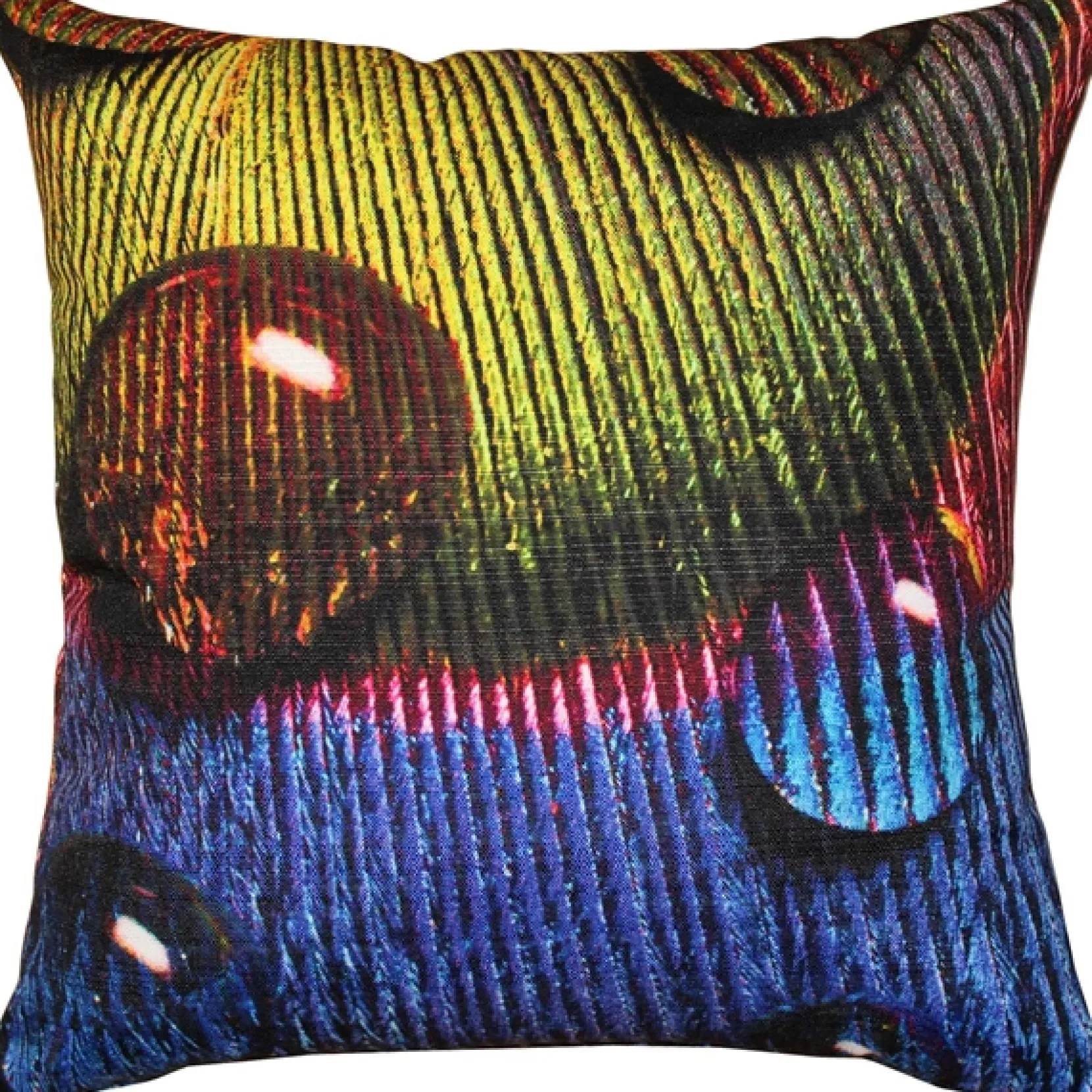 Peacock Splash YPB Throw Pillow 20x20