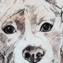 Pit Bull 17x17 Dog Pillow