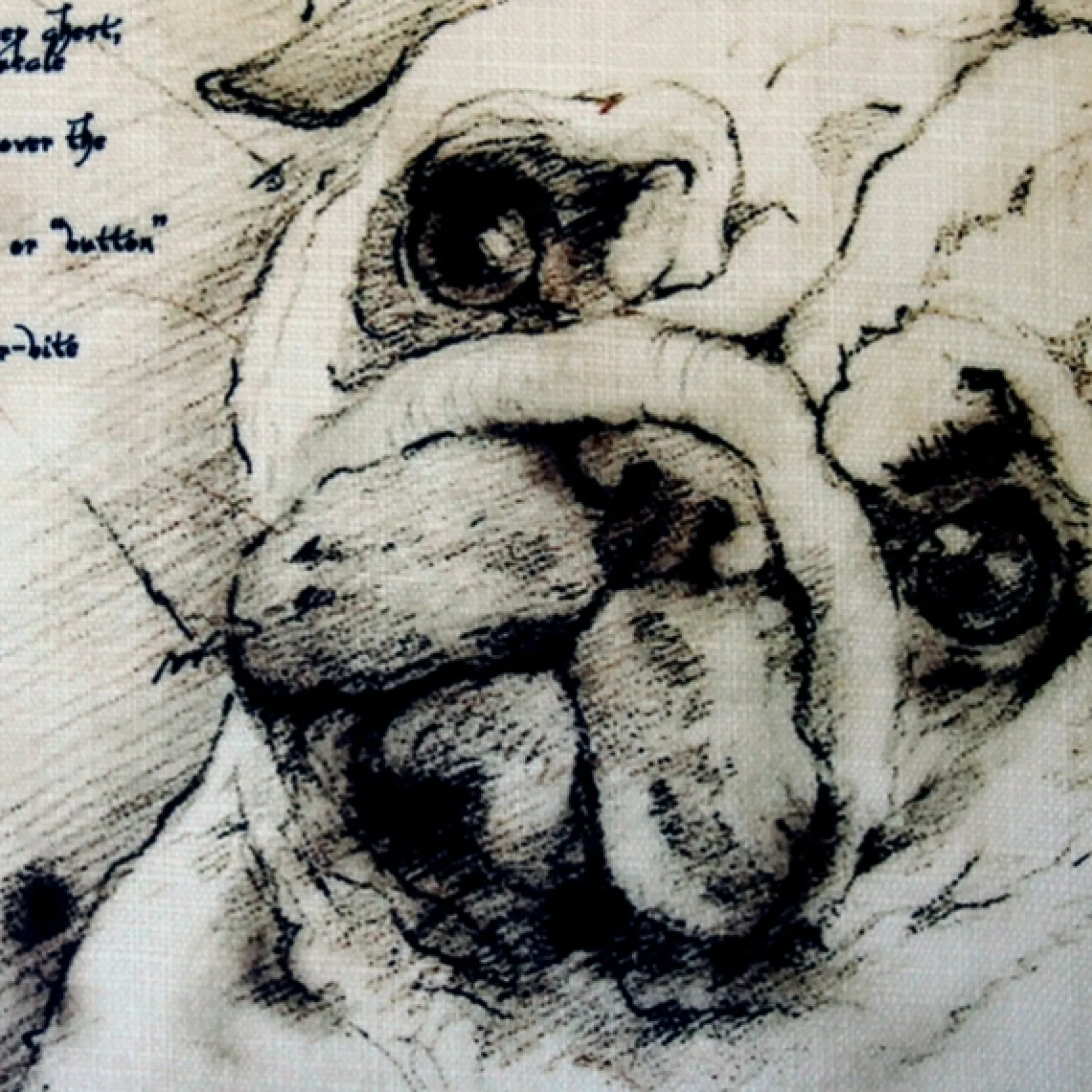 Pug 17x17 Dog Pillow
