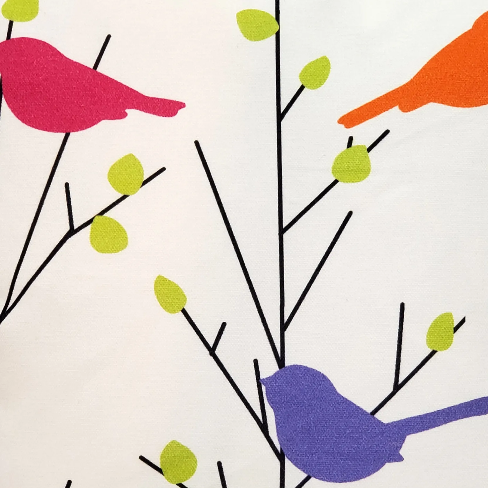 Spring Birds 17x17 Decorative Pillow