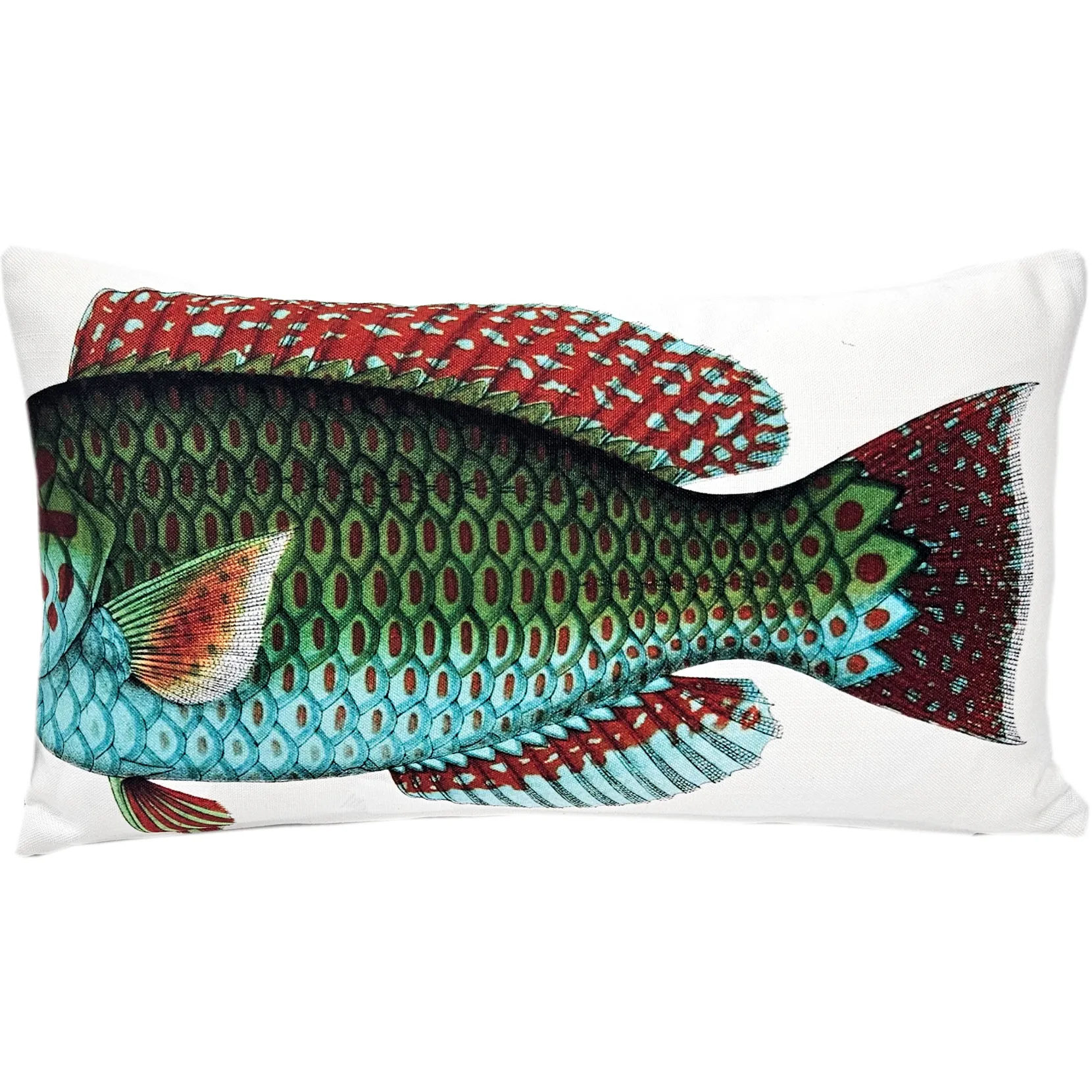 Stareye Parrot Fish Pillow 12x19