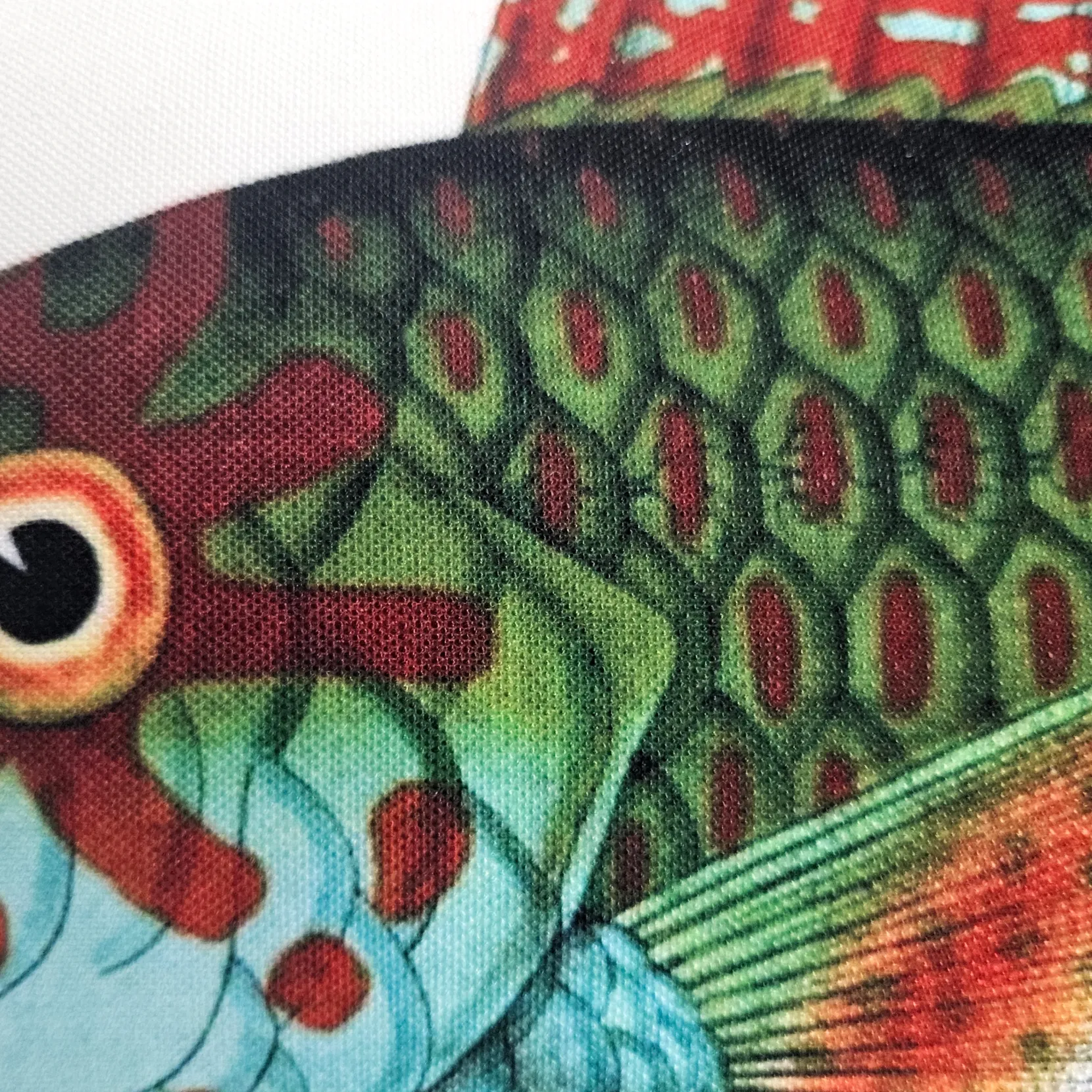 Stareye Parrot Fish Pillow 12x19