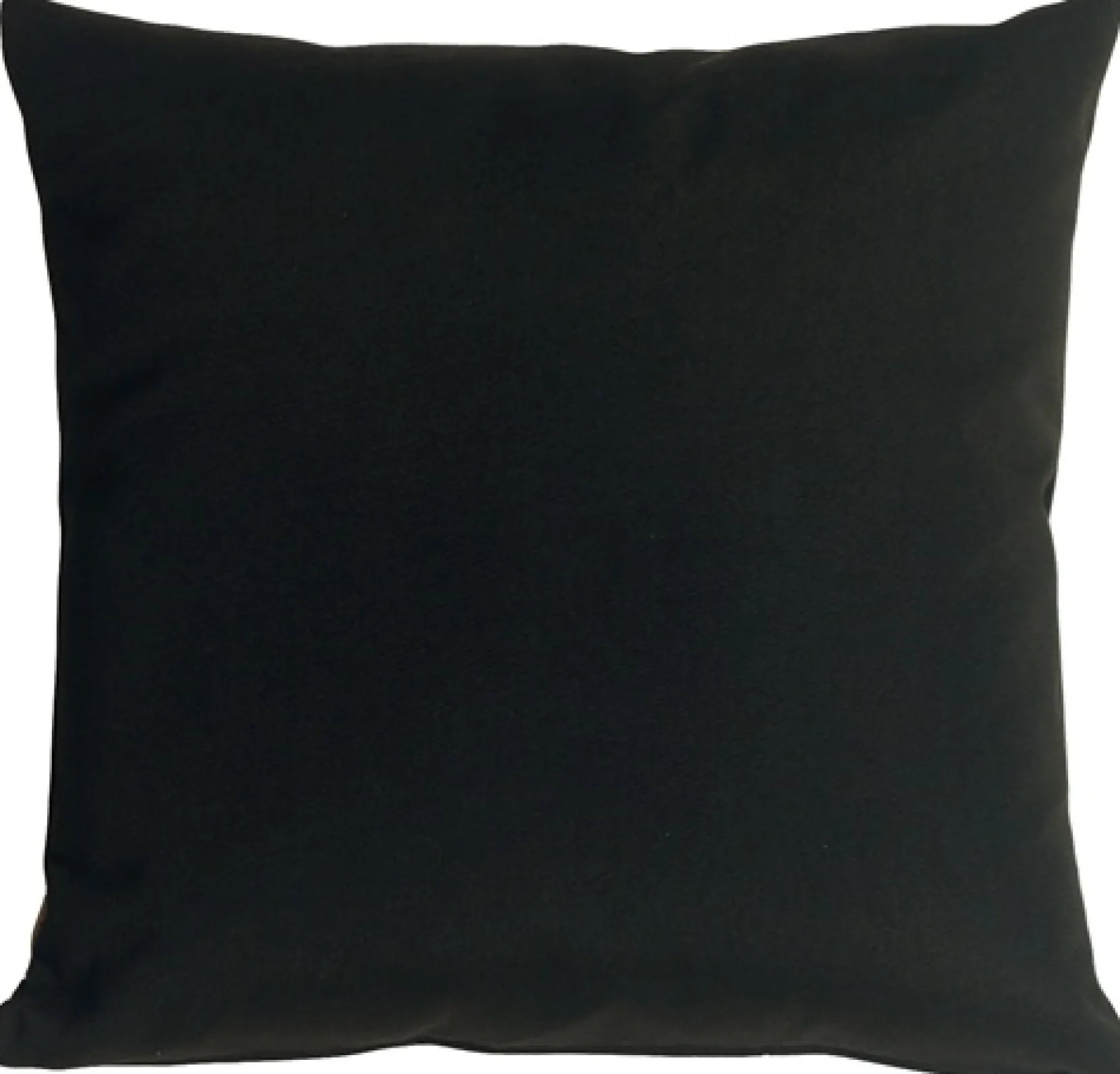 Sunbrella Black 20x20 Outdoor Pillow