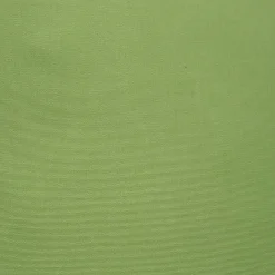 Sunbrella Ginko Green Outdoor Pillow 12x19