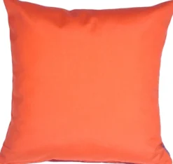 Sunbrella Melon 20x20 Outdoor Pillow