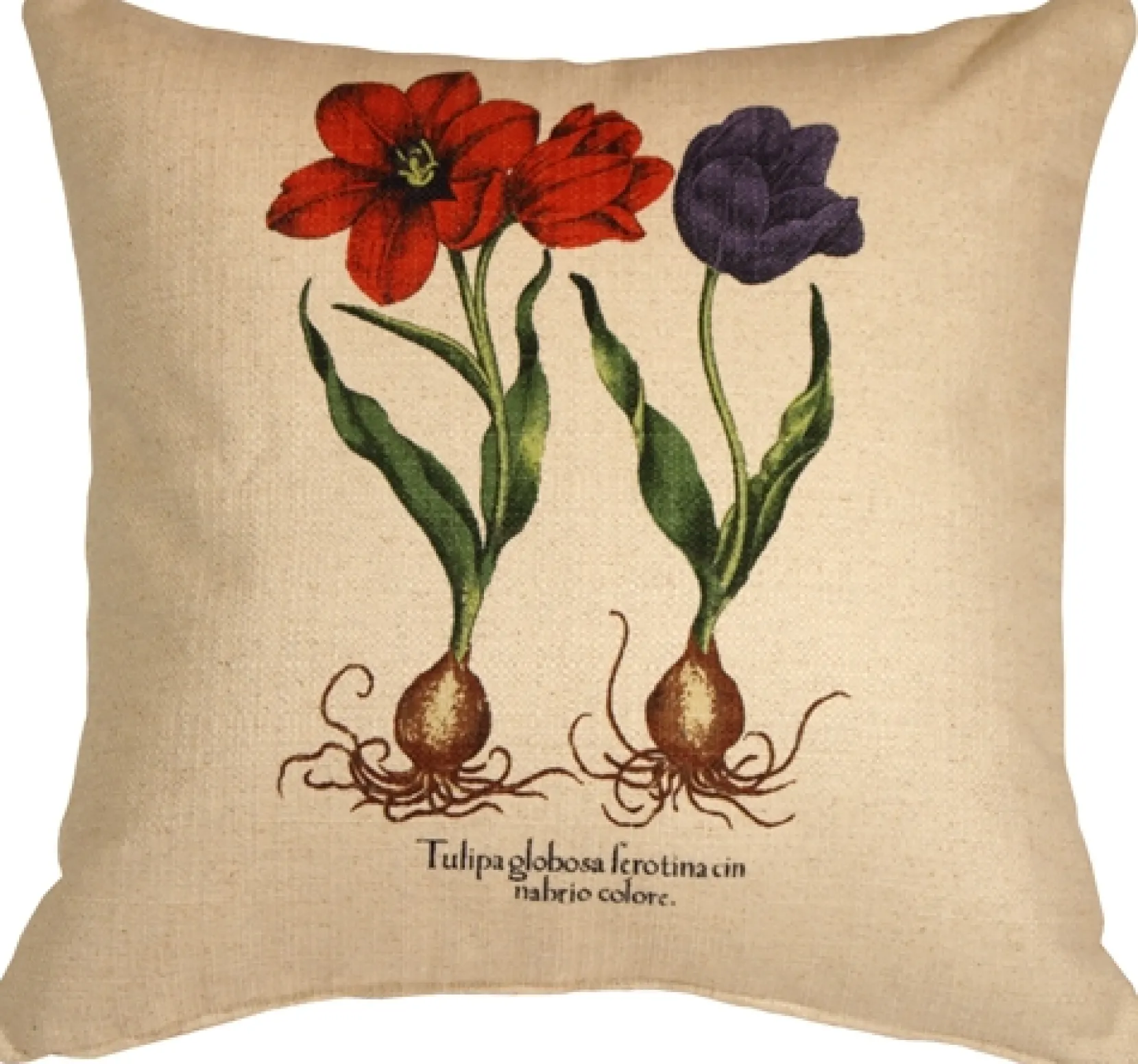 Tulips 20x20 Decorative Throw Pillow