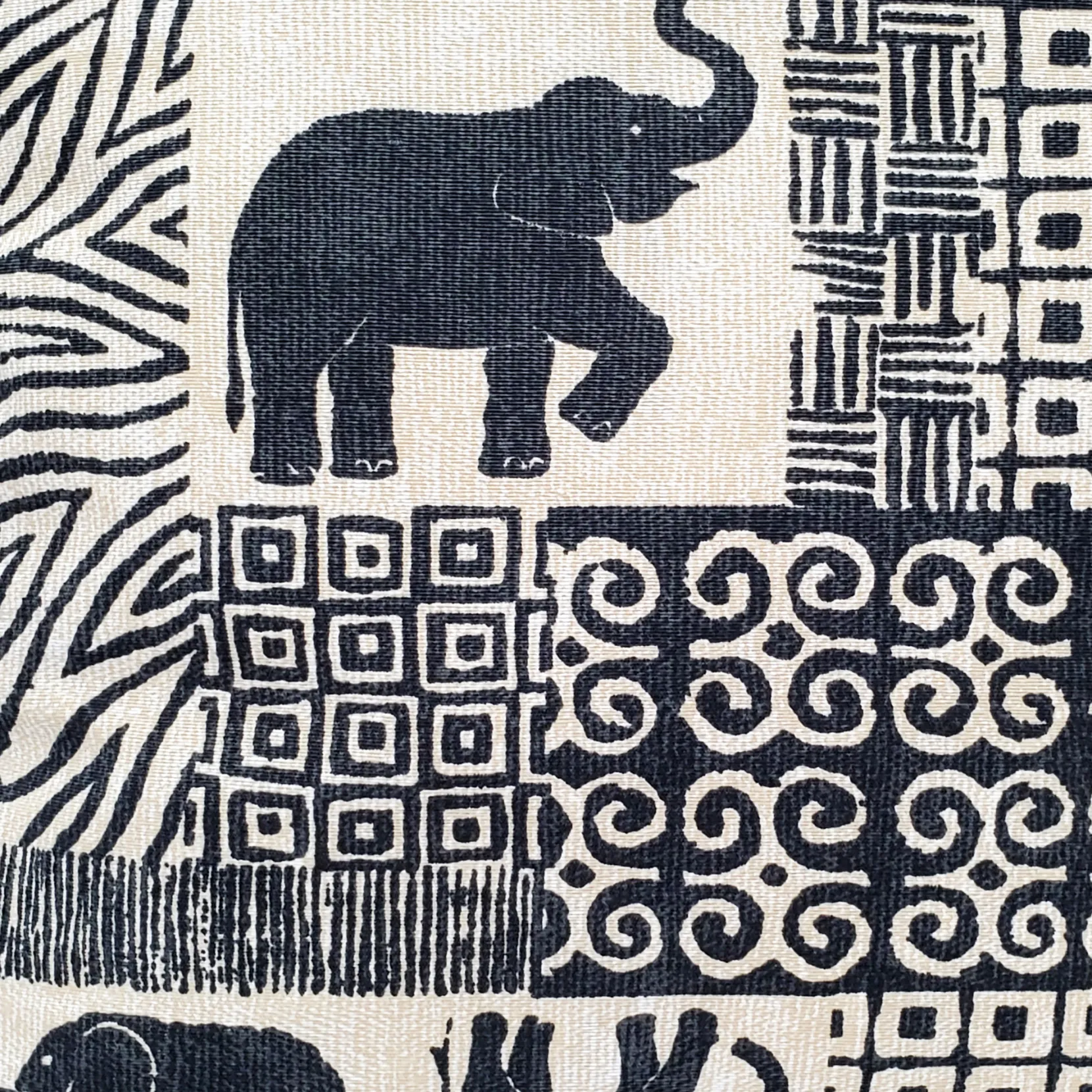 Zakouma Elephant Throw Pillow 20x20